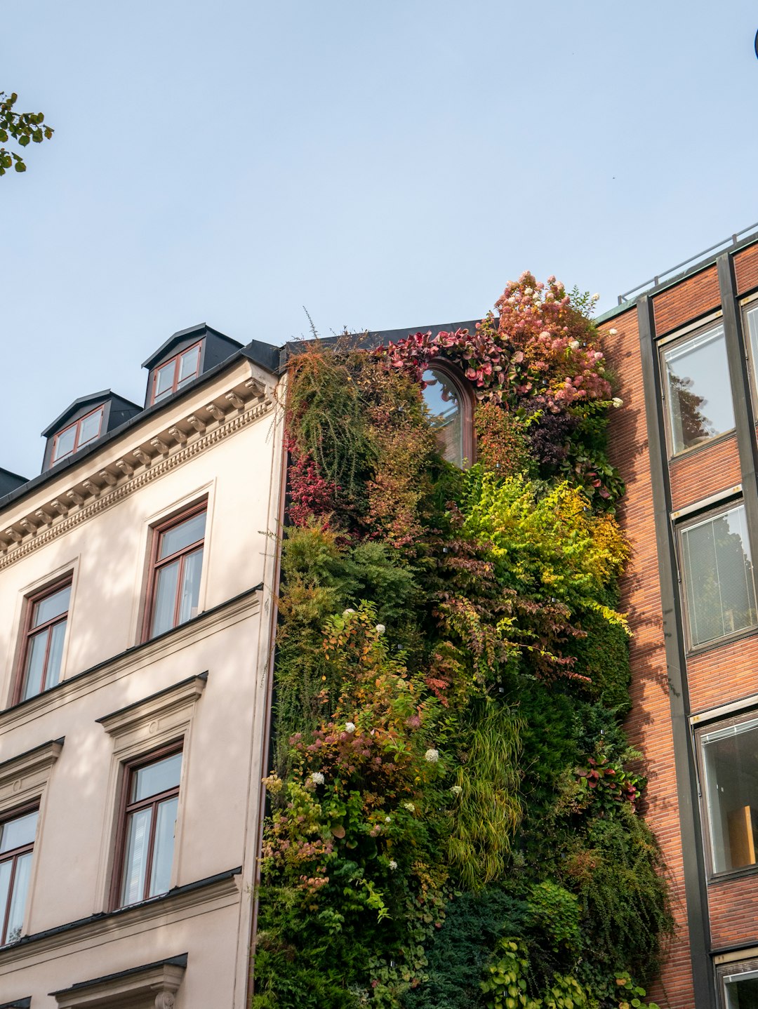 Green District Initiative