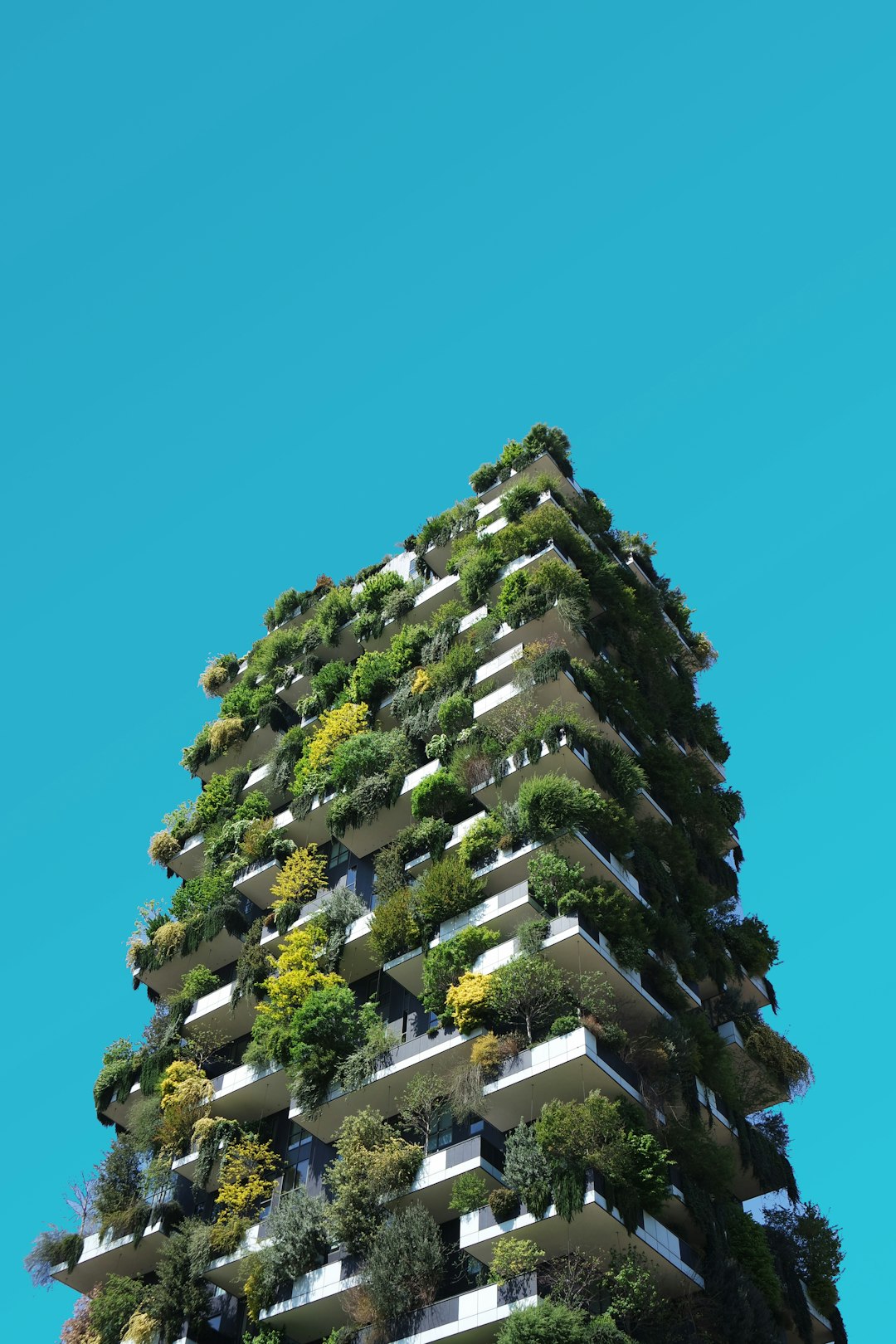 Sustainability Consulting
